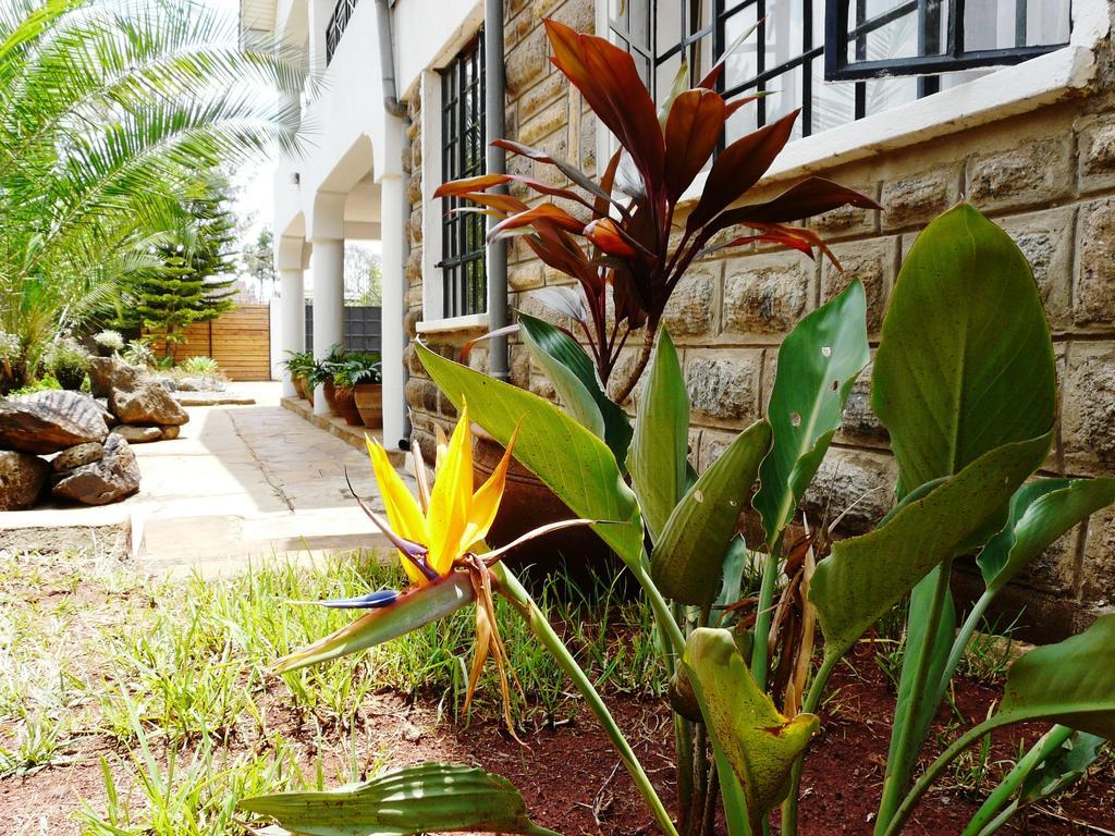 نيروبي Maison Mitwaba المظهر الخارجي الصورة